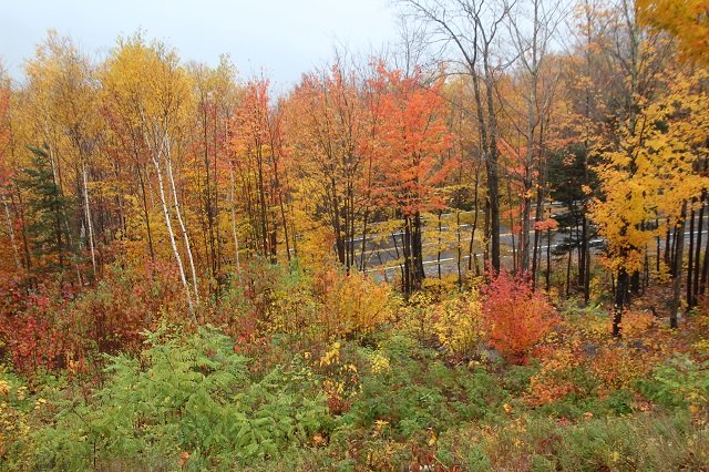 Northeast Fall Adventures through ME, VT and NH – October 2023