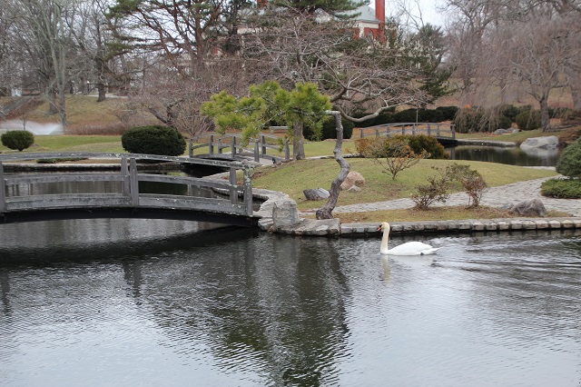 48 hours in Rhode Island - Roger Willaims 2